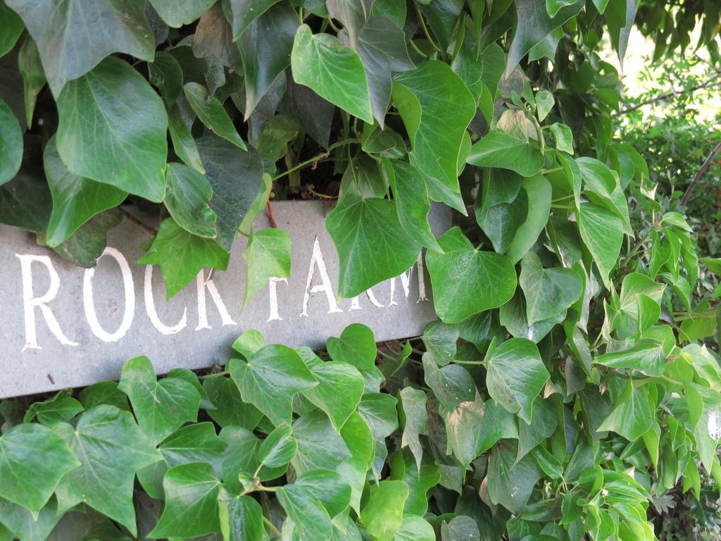 Rock Farm Bed & Breakfast ทาร์พอร์ลีย์ ภายนอก รูปภาพ
